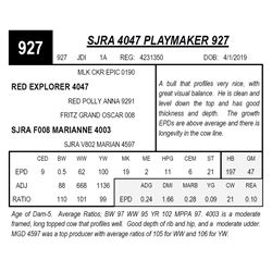 SJRA 4047 PLAYMAKER 927