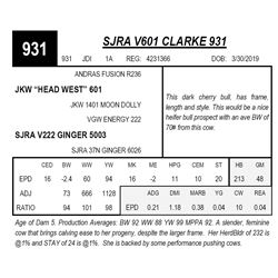 SJRA V601 CLARKE 931