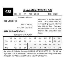 SJRA 5125 PIONEER 938