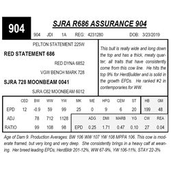 SJRA R686 ASSURANCE 904