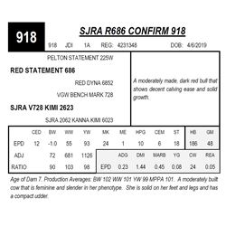 SJRA R686 CONFIRM 918