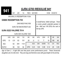 SJRA G703 RESOLVE 941