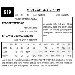 SJRA R686 ATTEST 919