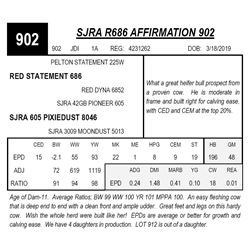 SJRA R686 AFFIRMATION 902