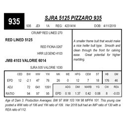 SJRA 5125 PIZZARO 935