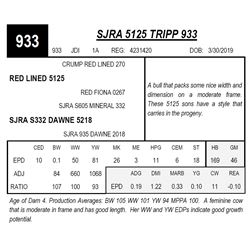 SJRA 5125 TRIPP 933