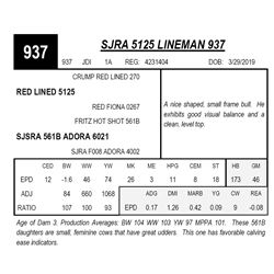 SJRA 5125 LINEMAN 937
