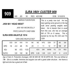 SJRA V601 CUSTER 909