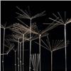 Image 2 : Harry Bertoia untitled (Linear Sculptur