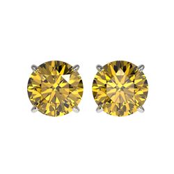 2.57 ctw Certified Intense Yellow Diamond Stud Earrings 10K White Gold