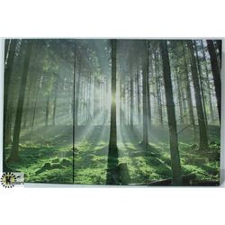 3 SECTION SUNSET FOREST CANVAS ART PHOTO
