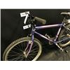 Image 2 : PURPLE KEN LEGGE 21 SPEED MOUNTAIN BIKE