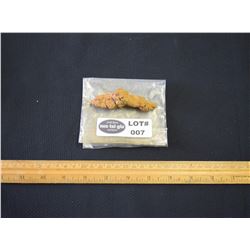 Madagascar Turtle/Sloth Coprolite Fossil