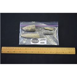 Orthoceras Cephalopod Fossils
