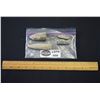 Image 1 : Orthoceras Cephalopod Fossils
