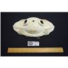Image 1 : Antique Porcelaire Brand Porcelain Ceiling Light Fixture