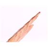 Image 11 : Clovis St. Louis Co. Fluted Point 14000-10000 BP