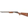 Image 2 : Winchester Model 1906 .22 Slide Action Rifle