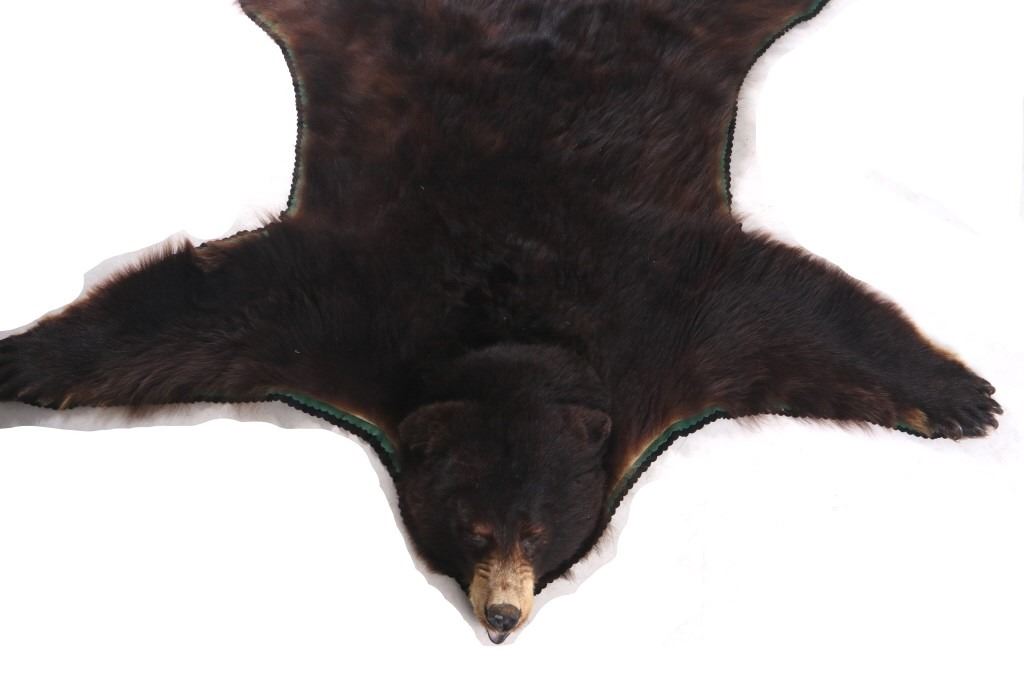 Washington Trophy Black Bear Fur Rug