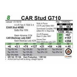 CAR Stud G710
