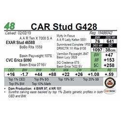 CAR Stud G428