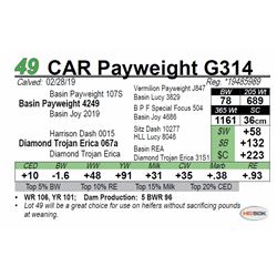 CAR Payweight G314