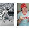 Image 3 : Pete Rose Photo Series by Rose, Pete