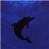Image 2 : Dolphin by Wyland Original