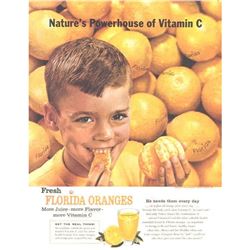 1959 Mid-Century Florida Oranges Kitchen Advertisement