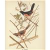 Image 1 : c1946 Audubon Print, #29 Towhee