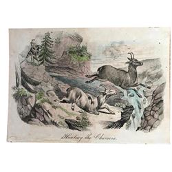 18thc Handcolored Engraving, Chamois Hunting