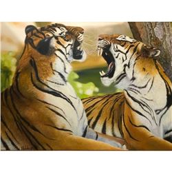 20thc Signed Oil Painting, "After The Hunt", Pair of Tigers