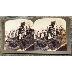 19thc. Sterioview of Rice Plantation Slaves on Rice Boat