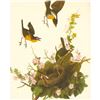 Image 1 : c.1950 Audubon Print, Yellow-Breasted Chat
