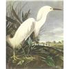 Image 1 : c.1950 Audubon Print, Snowy Egret