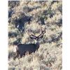 Image 1 : 2020 South Slope Diamond Mountain Buck Deer Conservation Permit - Hunter's Choice Permit