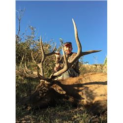 2020 Utah Cache, South Bull Elk Conservation Permit – Multi Season