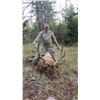 Image 1 : 2020 Utah South Slope Diamond Mtn. Bull Elk Conservation Permit – Multi Season