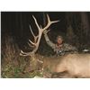 Image 1 : 2020 Utah Fish Lake/Thousand Lakes Bull Elk Conservation Permit – Any Weapon