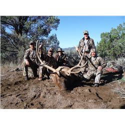 2020 Utah Southwest Desert Bull Elk Conservation Permit – Multi Season