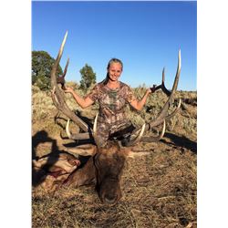 2020 Utah Book Cliffs, Bitter Creek/South Bull Elk Conservation Permit – Multi Season