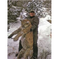 2020 Utah Boulder Cougar Conservation Permit – Any Weapon