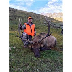 2020 Utah Wasatch Mtns. Elk Conservation Permit - Any Weapon
