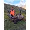 Image 1 : 2020 Utah Wasatch Mtns. Elk Conservation Permit - Any Weapon