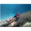 Image 1 : 2020 Utah Oquirrh Stansbury Elk Conservation Permit - Multi-season