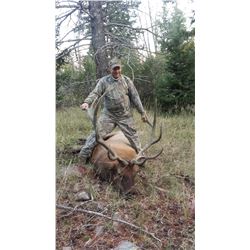 2020 Utah South Slope Diamond Mtn. Elk Conservation Permit - Any Weapon