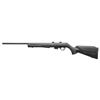 Image 1 : ROSSI RB17 17HMR 21" 5RD BLK