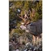 Image 1 : Navajo Nation Trophy Deer Permit