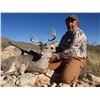 Image 1 : Arizona Coues Deer Hunt-2021
