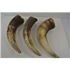 Image 1 : 3 Horns